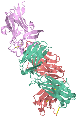 Image Biological Unit 1