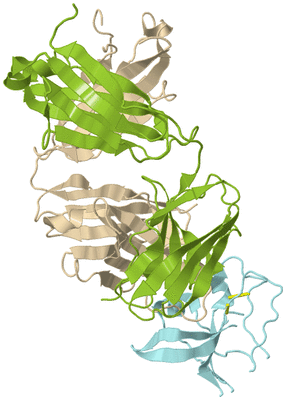 Image Biological Unit 2