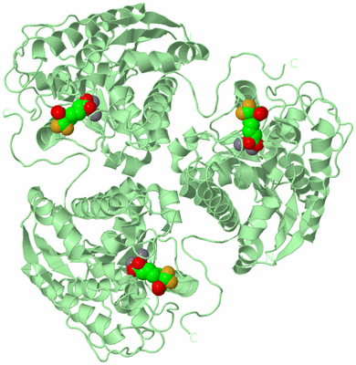 Image Biological Unit 2