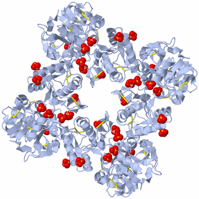 Image Biological Unit 2