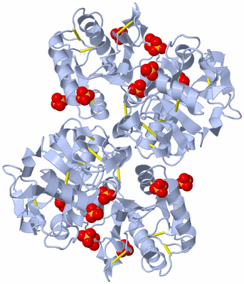 Image Biological Unit 3