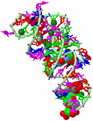 Image Biological Unit 2