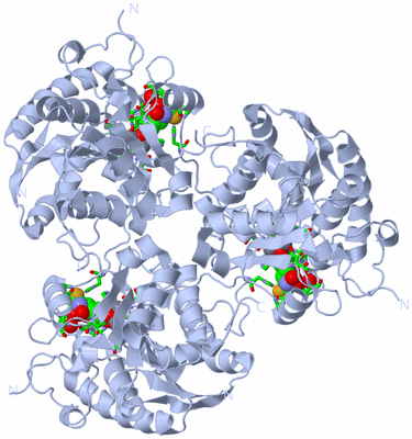 Image Biol. Unit 1 - sites