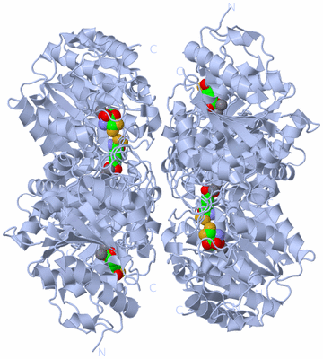 Image Biological Unit 2