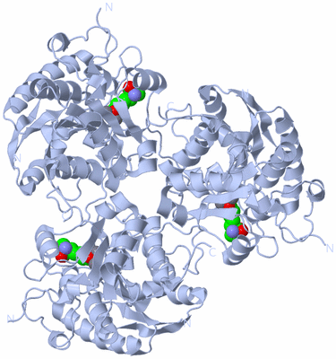 Image Biological Unit 1