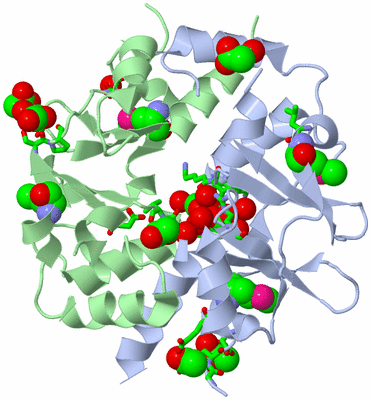 Image Asym./Biol. Unit - sites