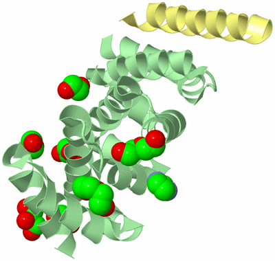 Image Biological Unit 2