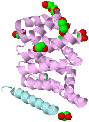 Image Biological Unit 3