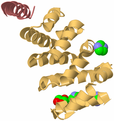 Image Biological Unit 4