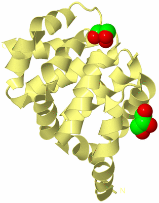 Image Biological Unit 4