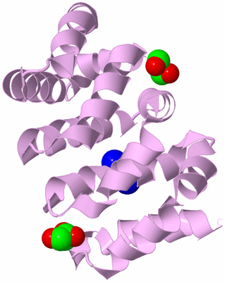 Image Biological Unit 5