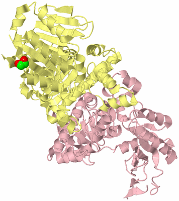 Image Biological Unit 2