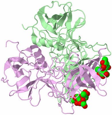 Image Biological Unit 2