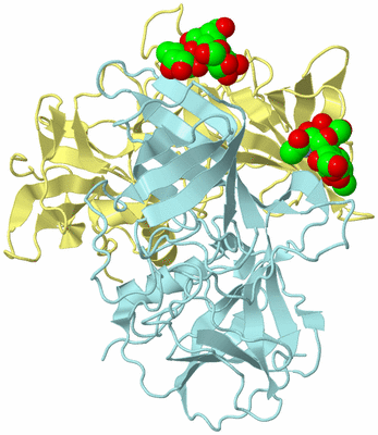 Image Biological Unit 3