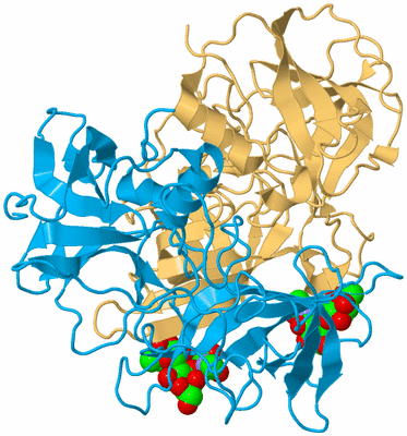 Image Biological Unit 4