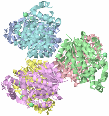 Image Biological Unit 1