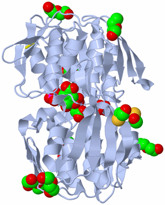 Image Biological Unit 1