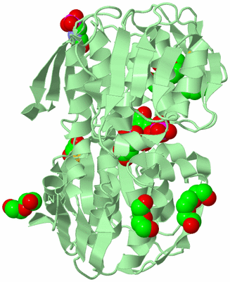 Image Biological Unit 2