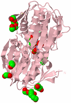 Image Biological Unit 3