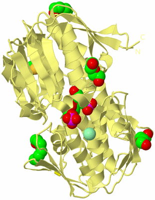 Image Biological Unit 4