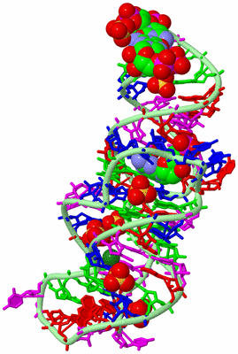 Image Biological Unit 2