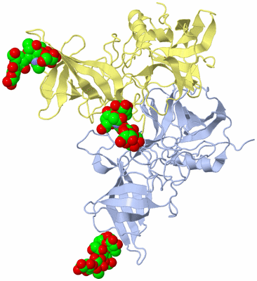 Image Biological Unit 1