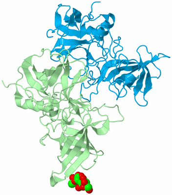 Image Biological Unit 2