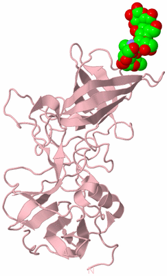 Image Biological Unit 3