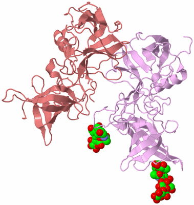 Image Biological Unit 4