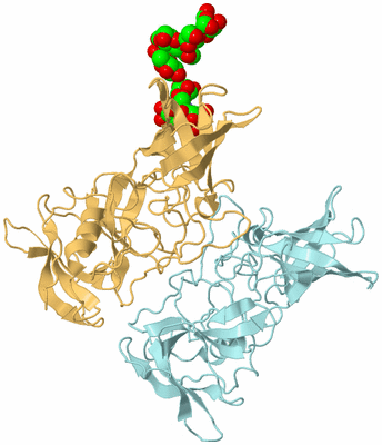 Image Biological Unit 5