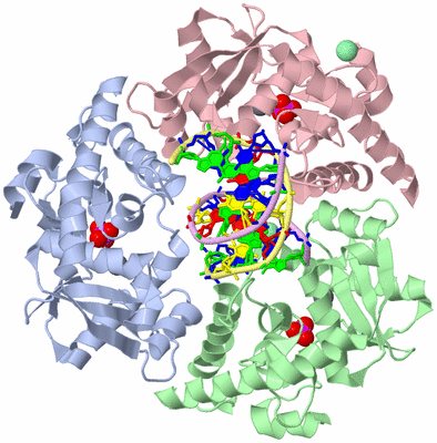 Image Asym./Biol. Unit