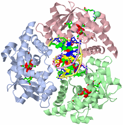 Image Asym./Biol. Unit - sites