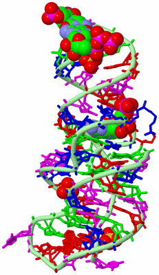 Image Biological Unit 2