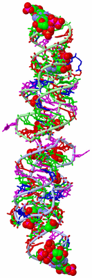 Image Asym. Unit - sites