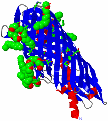 Image Asym./Biol. Unit - sites