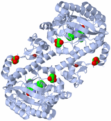 Image Biological Unit 1