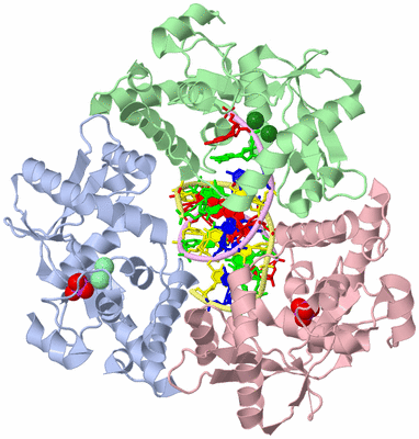 Image Asym./Biol. Unit