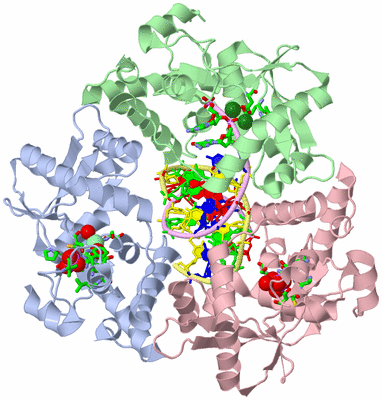 Image Asym./Biol. Unit - sites