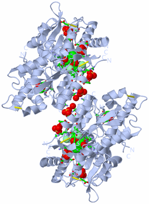 Image Biol. Unit 1 - sites