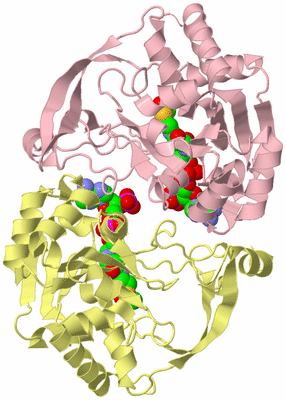 Image Biological Unit 2