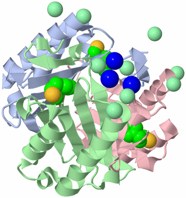 Image Asym./Biol. Unit