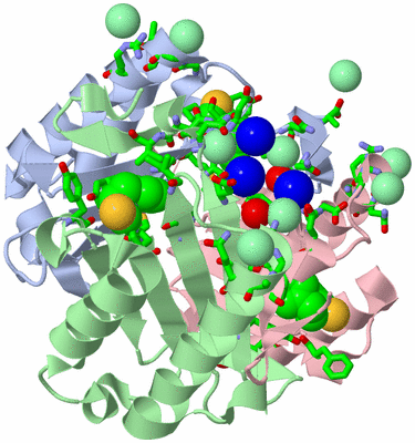 Image Asym./Biol. Unit - sites