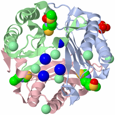 Image Asym./Biol. Unit