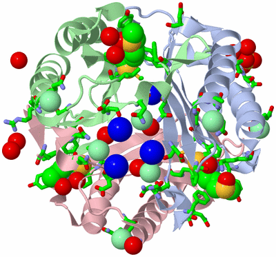 Image Asym./Biol. Unit - sites