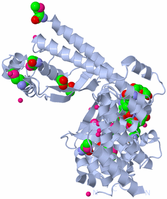 Image Biological Unit 1