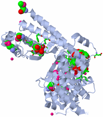 Image Biol. Unit 1 - sites