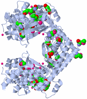 Image Biological Unit 2