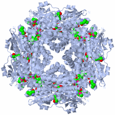 Image Biological Unit 1