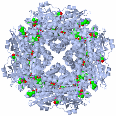 Image Biological Unit 1