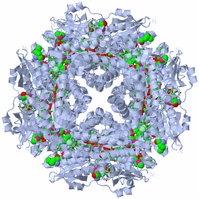 Image Biol. Unit 1 - sites